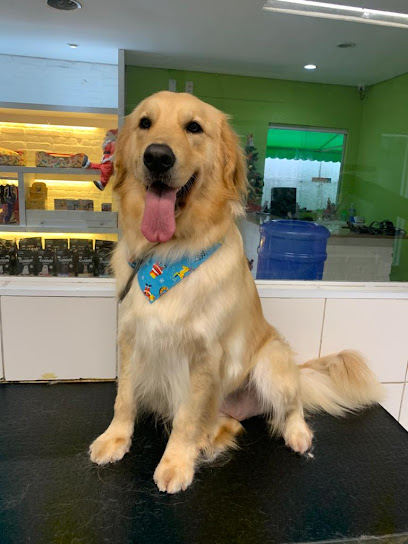 Serenita Vet - Veterinário em Osasco - SP