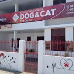 Imagem ilustrativa da empresa SERVET INSTITUTO VETERINÁRIO em Maceió - AL