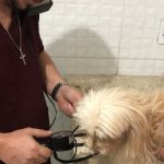 Imagem ilustrativa da empresa Sião Centro veterinário em Fortaleza - CE