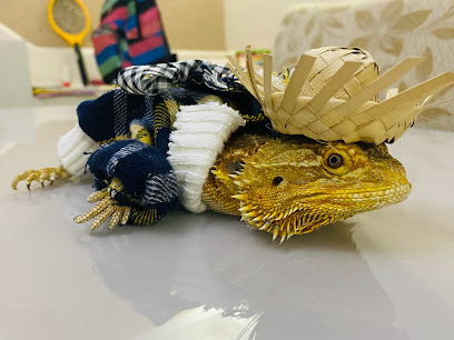 Sonho dos Animais Consultorio Veterinário em Duque de Caxias - RJ