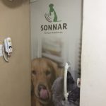 Imagem ilustrativa da empresa sonnar vet - Clínica de ultrassonografia veterinária em Salvador - BA