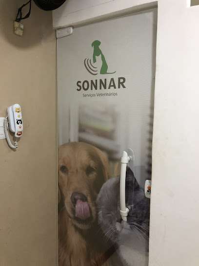 sonnar vet - Clínica de ultrassonografia veterinária em Salvador - BA