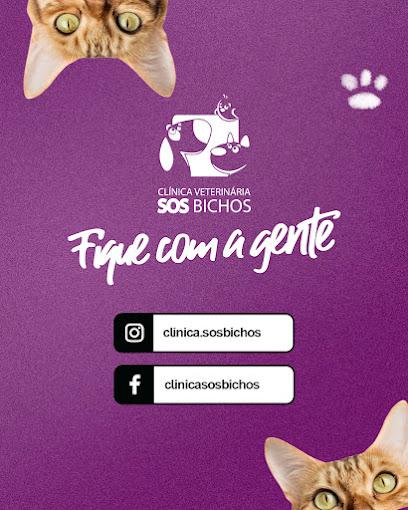 Imagem ilustrativa da empresa SOS Bichos | Clínica Veterinária em Nova Iguaçu - RJ