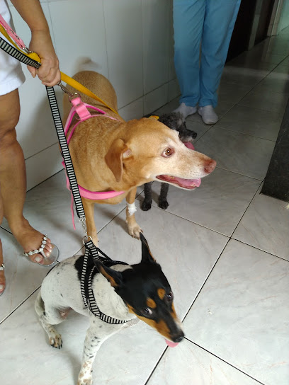 SOS Saúde Animal de Meriti - Veterinário em São João de Meriti - RJ