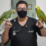 Imagem ilustrativa da empresa SOS Selvagens - Veterinário em Maceió - AL