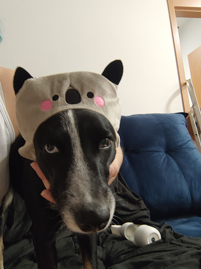 SOS Vet - Veterinário em Ribeirão Preto - SP
