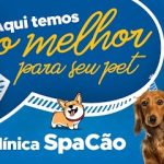 Imagem ilustrativa da empresa SpaCão Clínica Veterinária Popular - Unidade Guaianases 24h em São Paulo - SP
