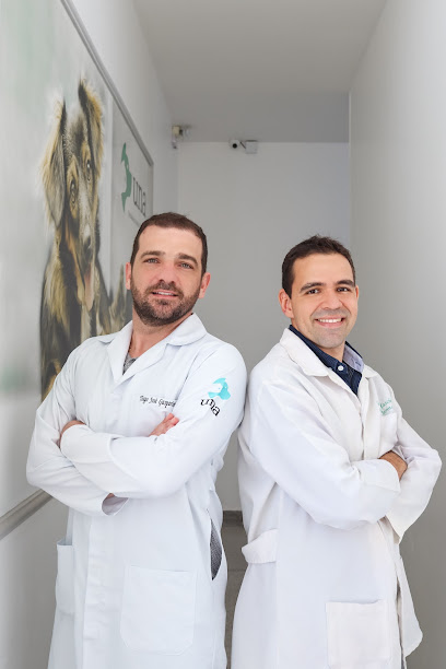 Imagem ilustrativa da empresa UNA - Clínica Veterinária 24 horas em Sorocaba - SP
