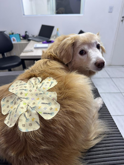 Unic Centro Veterinário em Sorocaba - SP