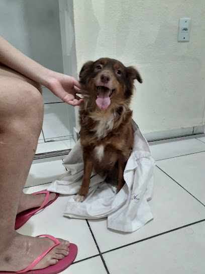 Univet Clínica Veterinária em Belém - PA
