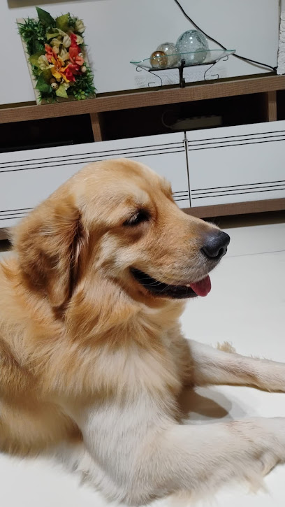 USA UNIDADE DE SAÚDE ANIMAL - Veterinário em Salvador - BA