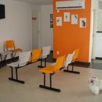 Imagem ilustrativa da empresa VEROBICHO Diagnósticos Veterinários em Goiânia - GO