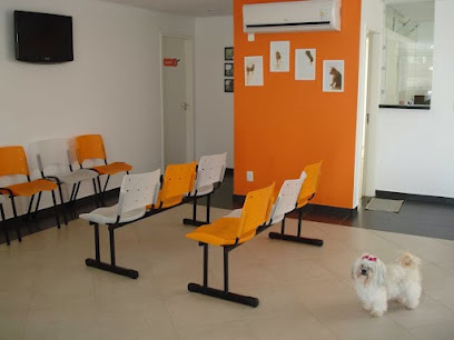 VEROBICHO Diagnósticos Veterinários em Goiânia - GO
