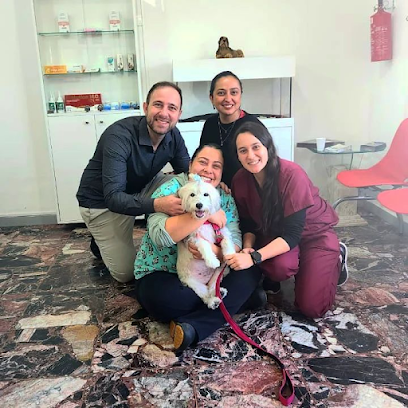 Vet 3 Clínica Veterinária em São Paulo - SP