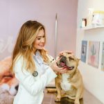 Imagem ilustrativa da empresa Vet Cavalaro - Veterinário em Goiânia - GO