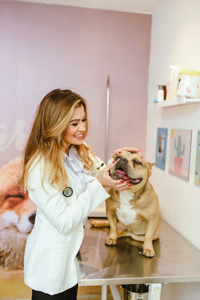 Vet Cavalaro - Veterinário em Goiânia - GO