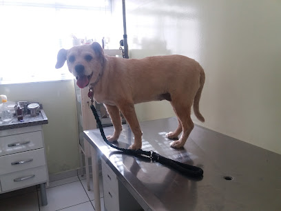 Vet Company - Veterinário em Osasco - SP