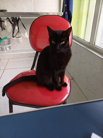 Vet Gêmeas Clínica Veterinária em Duque de Caxias - RJ