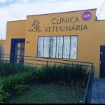 Imagem ilustrativa da empresa Vet life clínica veterinária 24 horas em Curitiba - PR