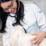 Imagem ilustrativa da empresa Vet Salva Clínica Veterinária em Curitiba - PR