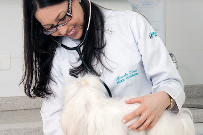 Vet Salva Clínica Veterinária em Curitiba - PR