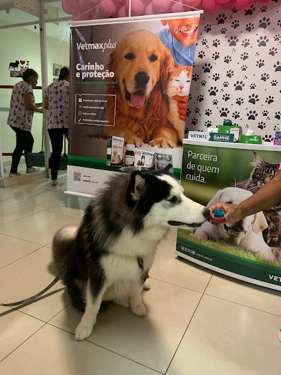 Vet Service Costa Azul - Veterinário em Salvador - BA