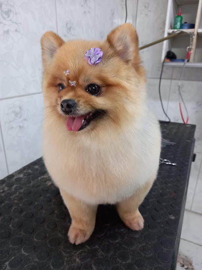 Vet Shop Clínica Veterinária em Campo Grande - MS