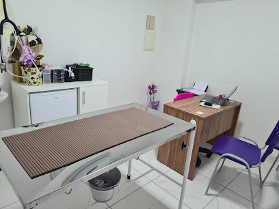 Imagem ilustrativa da empresa Vet Spa Clínica Veterinária - Unidade Largo do Divino em Sorocaba - SP