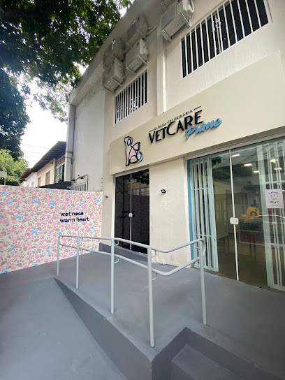 Imagem ilustrativa da empresa VetCare Prime - Veterinário em Belo Horizonte - MG