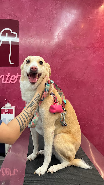 Vetcenter - Centro Diagnóstico Veterinário em Belém - PA
