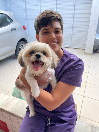 Veterinária a Domicílio - M.V Rhillary Silva em Maceió - AL