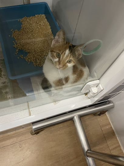 Veterinária Animal Medic em Rio de Janeiro - RJ