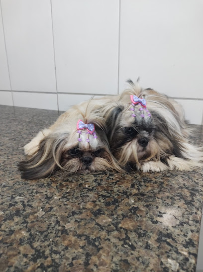 Imagem ilustrativa da empresa Veterinária Chaves em São Luís - MA