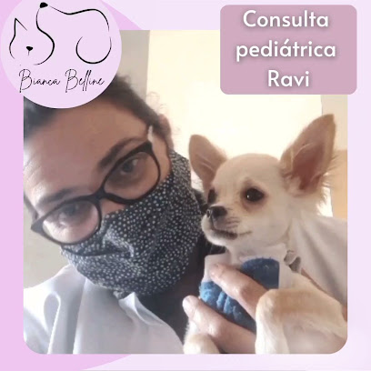 Veterinária em domicílio - Dra. Bianca Belline em Sorocaba - SP