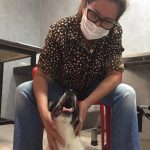 Imagem ilustrativa da empresa Veterinária Espaço Pet em Belo Horizonte - MG