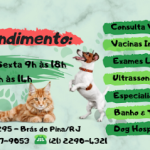 Imagem ilustrativa da empresa Veterinária Fenix em Rio de Janeiro - RJ