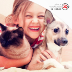 Imagem ilustrativa da empresa VETERINÁRIA FULLPET 24 HORAS -UNID. TABOÃO em Guarulhos - SP