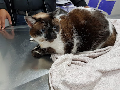 Veterinária Meu Filhote em Guarulhos - SP