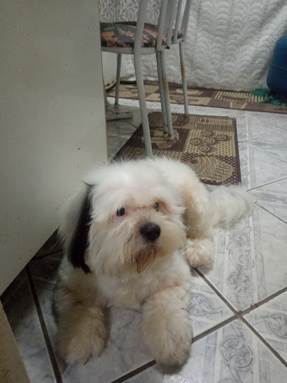Veterinária Paraíso em Guarulhos - SP