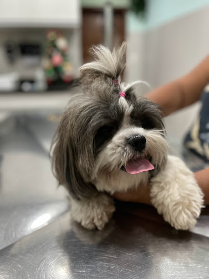 Veterinária PorPets em Nova Iguaçu - RJ