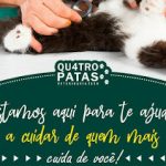 Imagem ilustrativa da empresa Veterinária Quatro Patas Éden em São João de Meriti - RJ