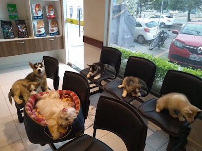 Imagem ilustrativa da empresa Veterinária Santos em São Luís - MA