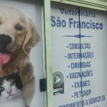 Imagem ilustrativa da empresa Veterinária São Francisco em São Luís - MA