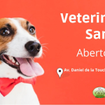 Imagem ilustrativa da empresa Veterinária Saraiva em São Luís - MA