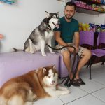 Imagem ilustrativa da empresa Veterinária Toca Dos Bichos em São Luís - MA