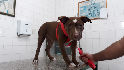 Veterinária Vida Animal em Belford Roxo - RJ