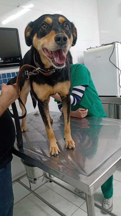 Veterinário 24 horas África Guarulhos em Guarulhos - SP