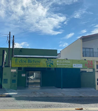 Veterinário 24 Horas Campinas Clínica É dos Bichos em Campinas - SP