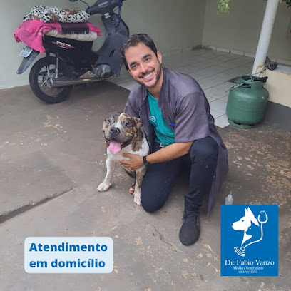 Veterinário a domicílio - Med. Veterinário Fabio Vanzo em Campo Grande - MS