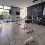 Imagem ilustrativa da empresa Veterinário de Aves, cães e gatos - Clínica Central Pet em Belo Horizonte - MG